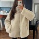 2024 Cross-border autumn/Winter women's clothing: European and American style, fashionable, loose and warm, color-blocking double-zipper faux lambskin coat 2024 Cross-border autumn/Winter women's clothing: European and American style, fashionable, loose and warm, color-blocking double-zipper faux lambskin coat
